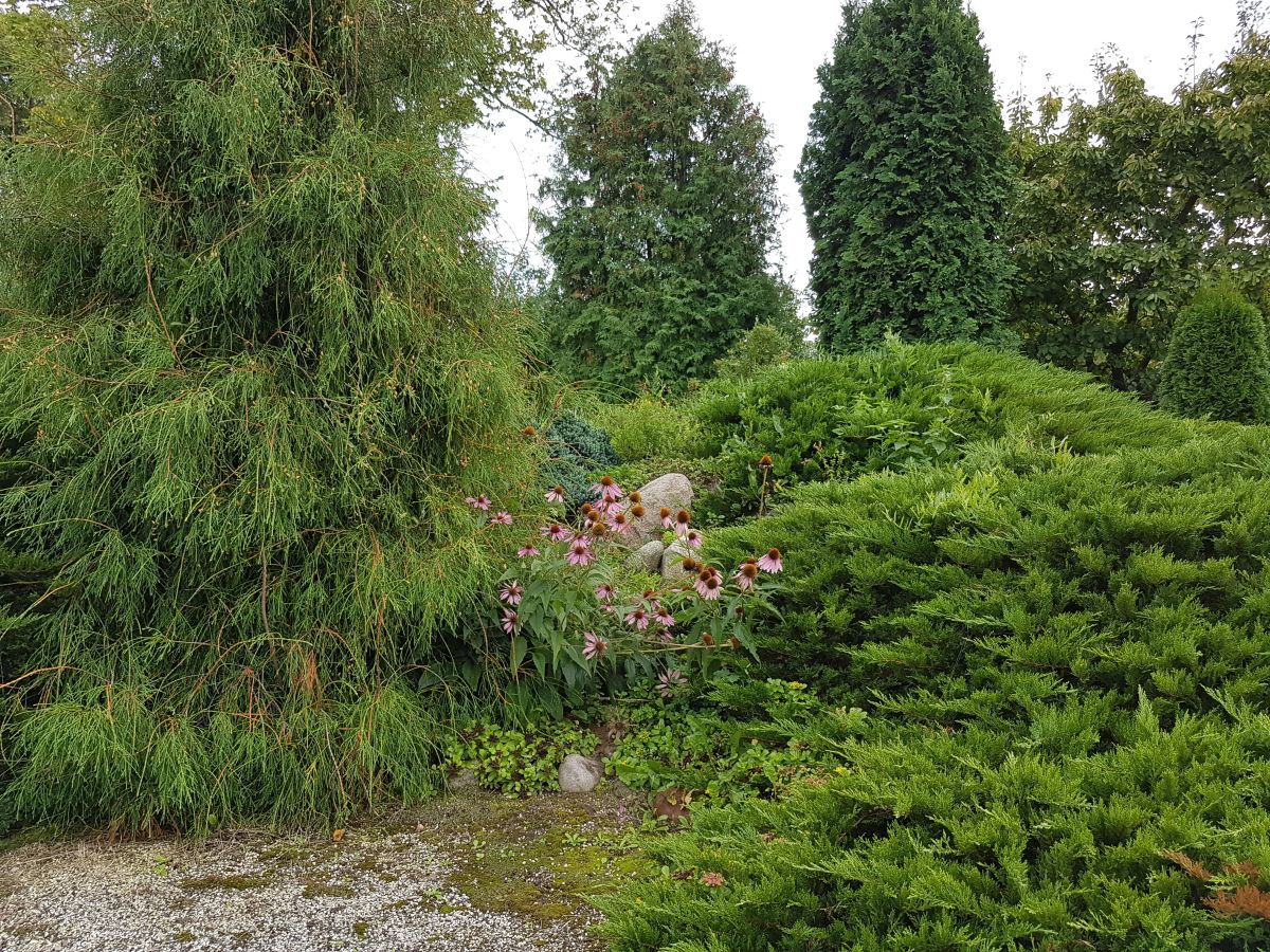 20170910_163418.jpg