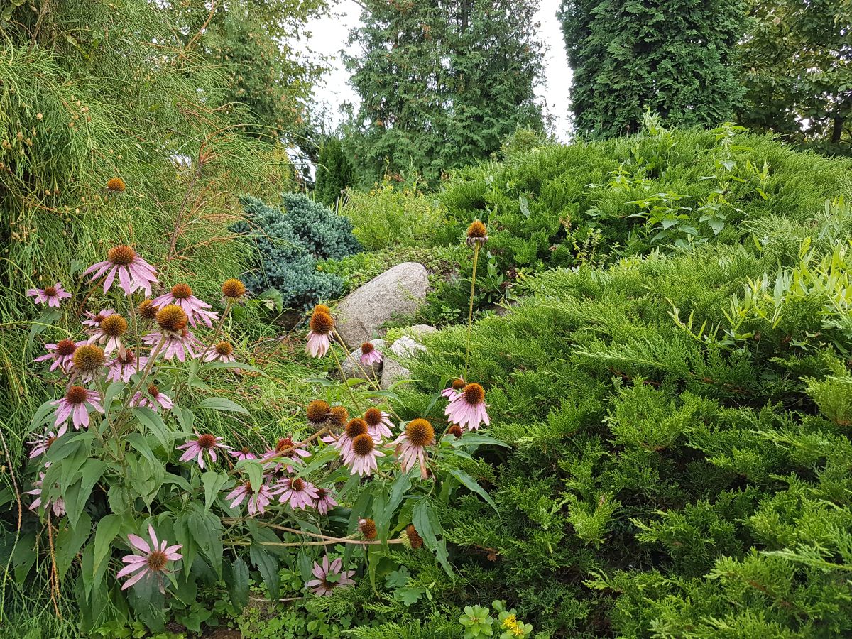 20170910_163423.jpg
