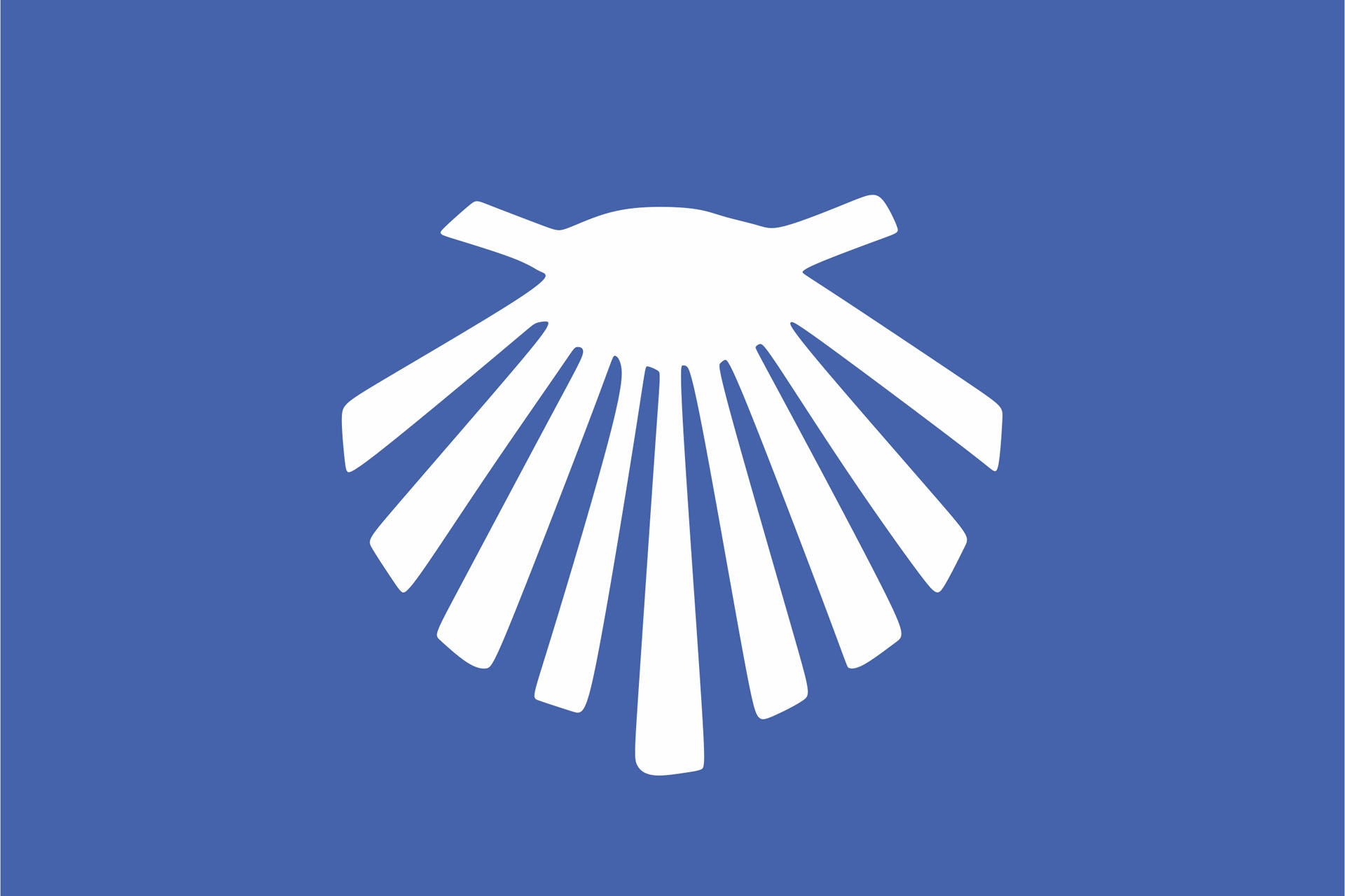 w5.jpg